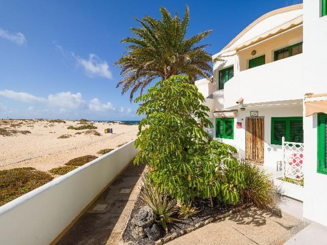 Apartamento Nire Lula En La Misma Playa El Cotillo  Exterior photo