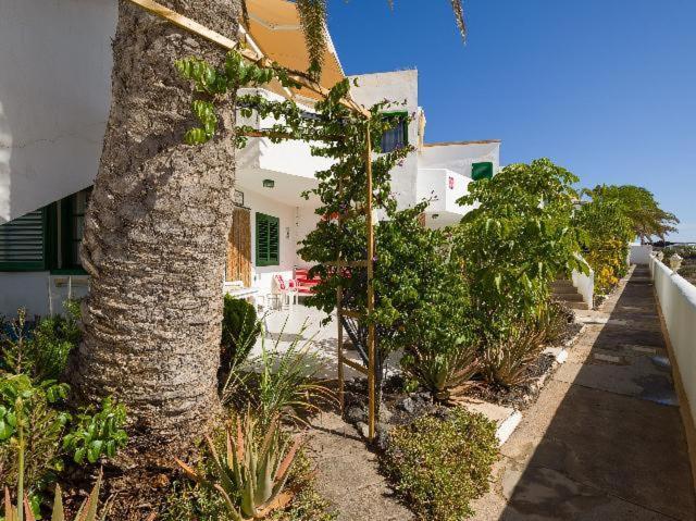 Apartamento Nire Lula En La Misma Playa El Cotillo  Exterior photo
